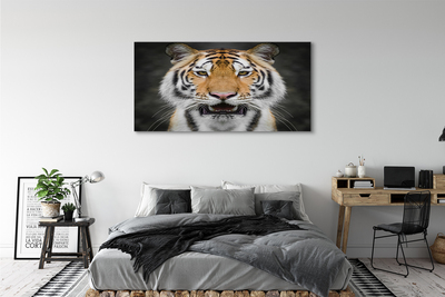 Pintura em tela Tigre