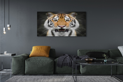Pintura em tela Tigre