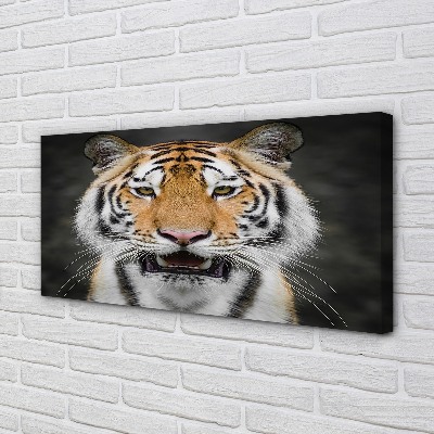 Pintura em tela Tigre