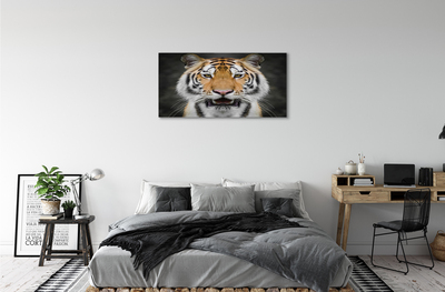 Pintura em tela Tigre