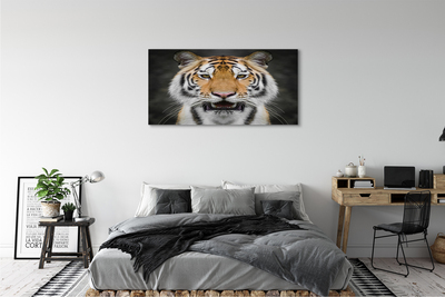 Pintura em tela Tigre