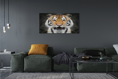 Pintura em tela Tigre