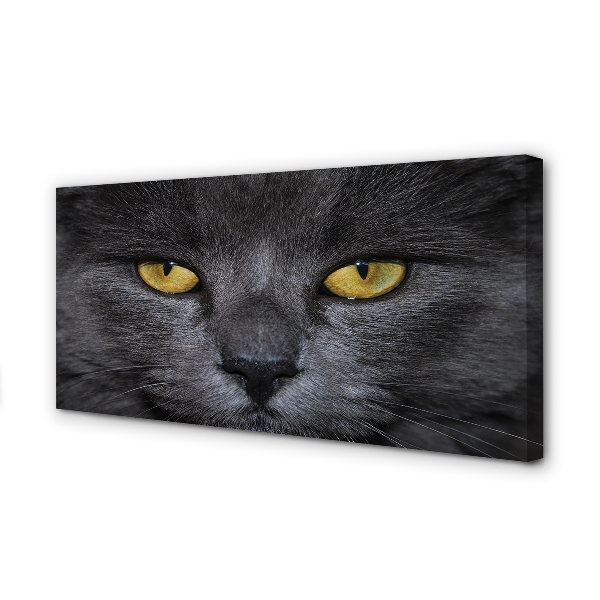 Quadro em tela Gato preto