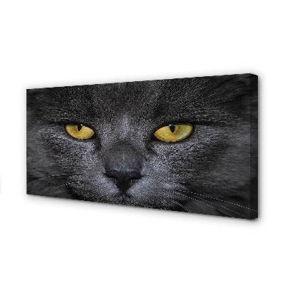 Quadro em tela Gato preto