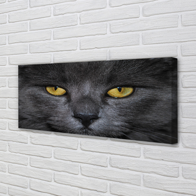 Quadro em tela Gato preto