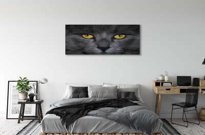 Quadro em tela Gato preto