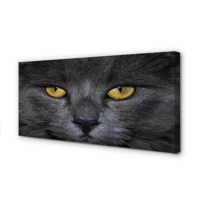 Quadro em tela Gato preto