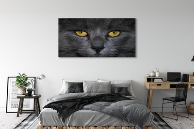 Quadro em tela Gato preto