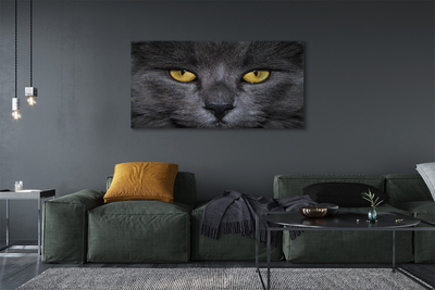 Quadro em tela Gato preto