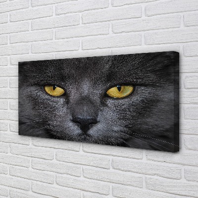 Quadro em tela Gato preto