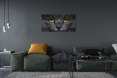 Quadro em tela Gato preto