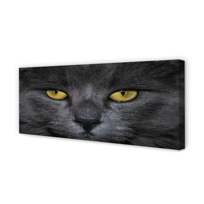 Quadro em tela Gato preto