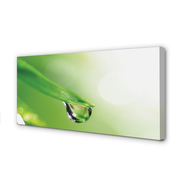 Quadro em tela Sol de folha caída