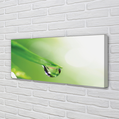 Quadro em tela Sol de folha caída