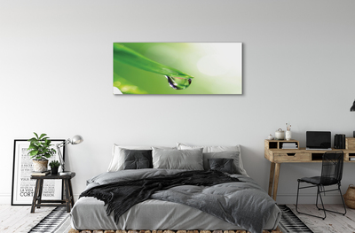 Quadro em tela Sol de folha caída