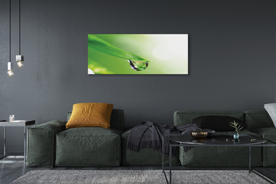 Quadro em tela Sol de folha caída