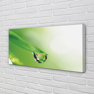 Quadro em tela Sol de folha caída