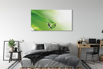 Quadro em tela Sol de folha caída