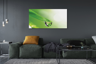 Quadro em tela Sol de folha caída