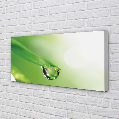 Quadro em tela Sol de folha caída