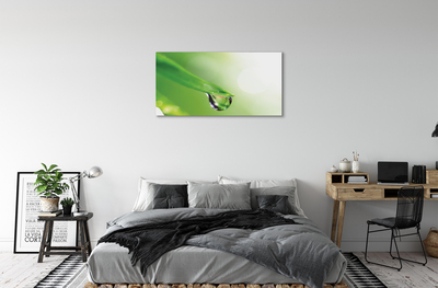 Quadro em tela Sol de folha caída