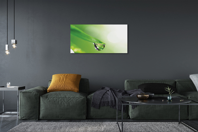 Quadro em tela Sol de folha caída