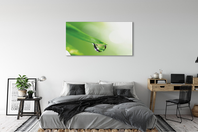 Quadro em tela Sol de folha caída