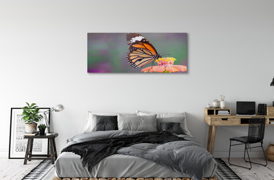Pintura em tela Flor borboleta colorida