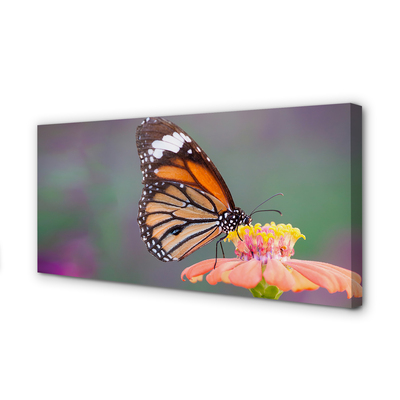 Pintura em tela Flor borboleta colorida