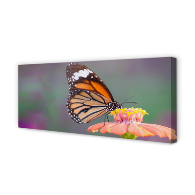 Pintura em tela Flor borboleta colorida