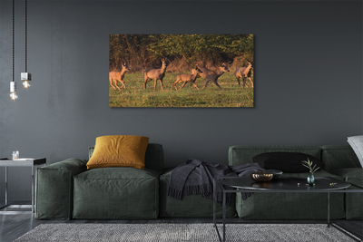 Quadro em tela Nascer do sol no campo de veados