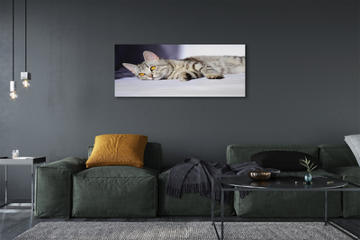 Quadro em tela Gato deitado