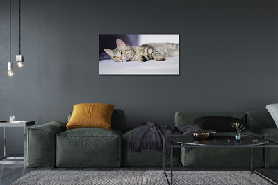 Quadro em tela Gato deitado