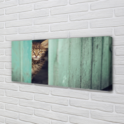 Pintura em tela Gato espiando