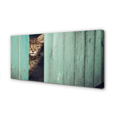 Pintura em tela Gato espiando