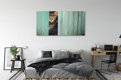 Pintura em tela Gato espiando