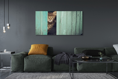 Pintura em tela Gato espiando