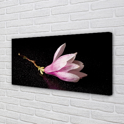 Quadro em tela Água de flores