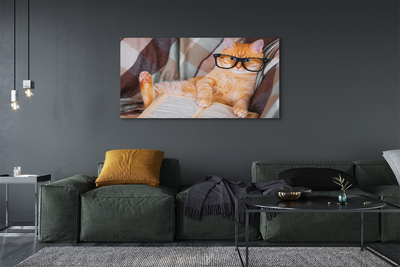 Quadro em tela Gato lendo