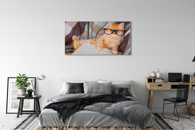 Quadro em tela Gato lendo