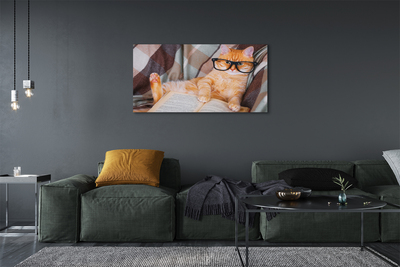 Quadro em tela Gato lendo