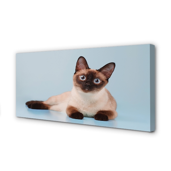 Pintura em tela Gato deitado