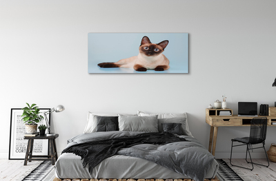 Pintura em tela Gato deitado