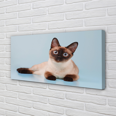 Pintura em tela Gato deitado