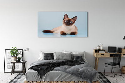 Pintura em tela Gato deitado
