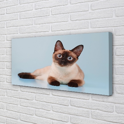 Pintura em tela Gato deitado