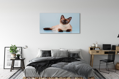 Pintura em tela Gato deitado