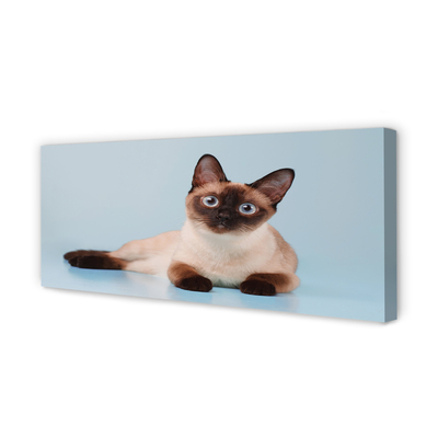 Pintura em tela Gato deitado