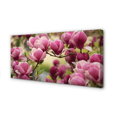 Pintura em tela Flores de árvores