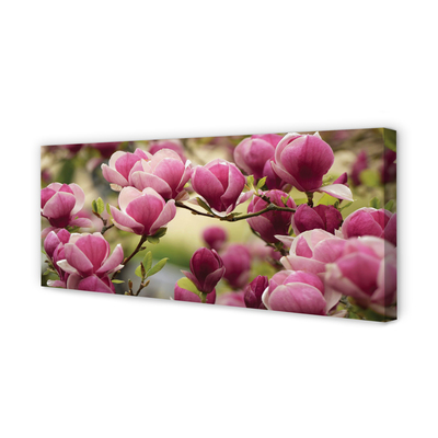 Pintura em tela Flores de árvores